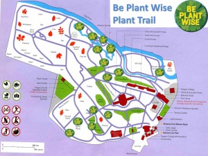 Be plant wise map